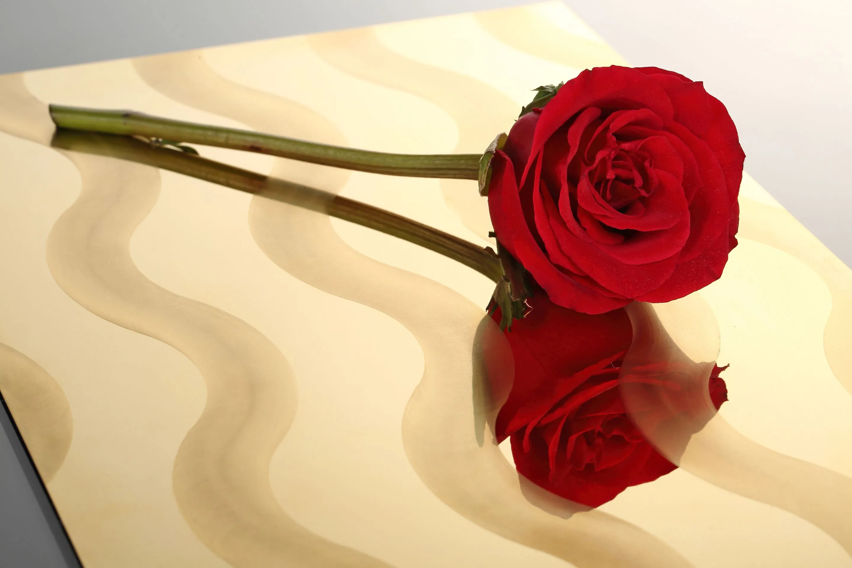 All You Need To Know About Decorative Stainless Steel Sheet Finishes