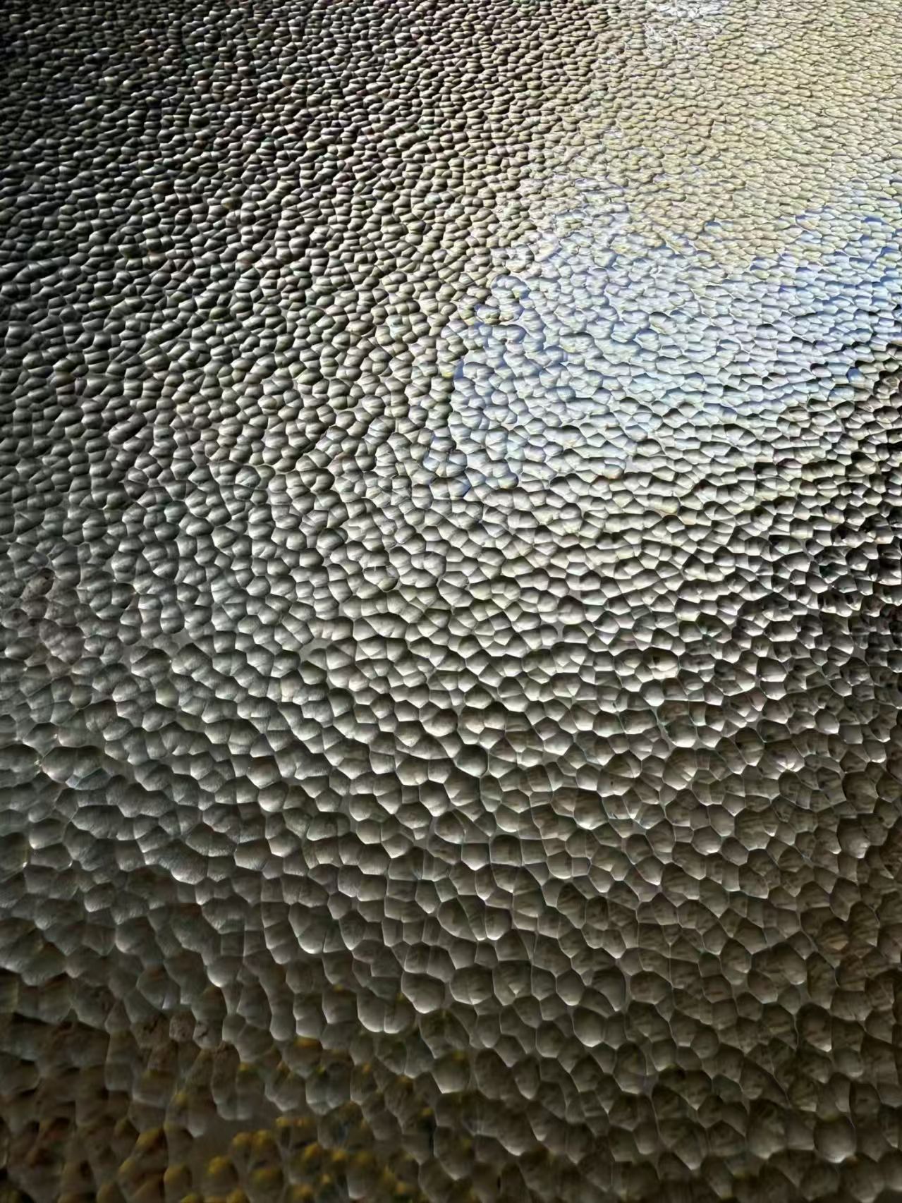 Hammered Finish Stainless Steel: Durable & Low-Maintenance Decor for Walls, Doors & More